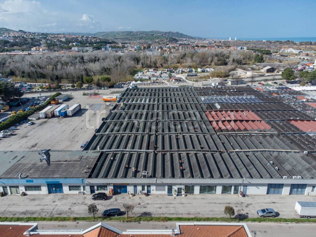 immagine annuncio 2 di 6