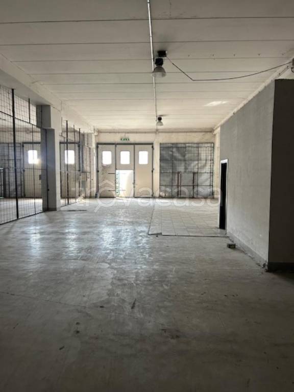 immagine annuncio 5 di 9