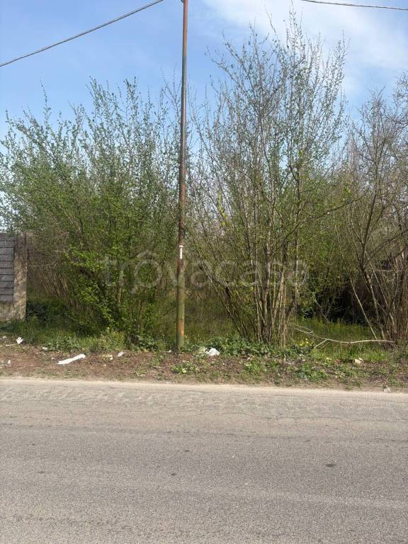 immagine annuncio 2 di 8