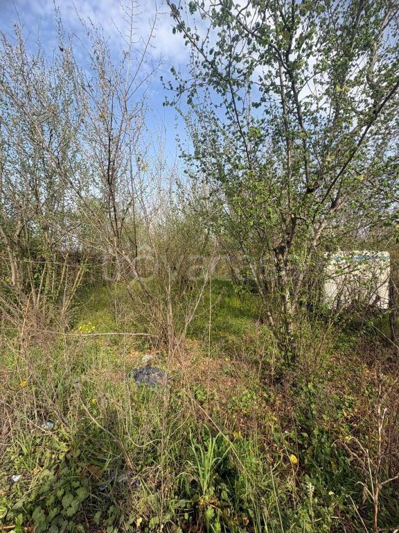 immagine annuncio 7 di 8