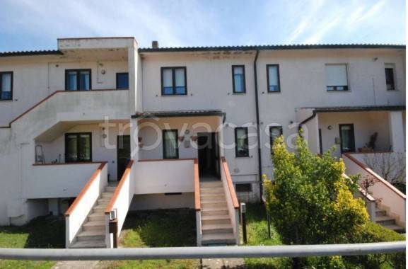 immagine annuncio 7 di 14