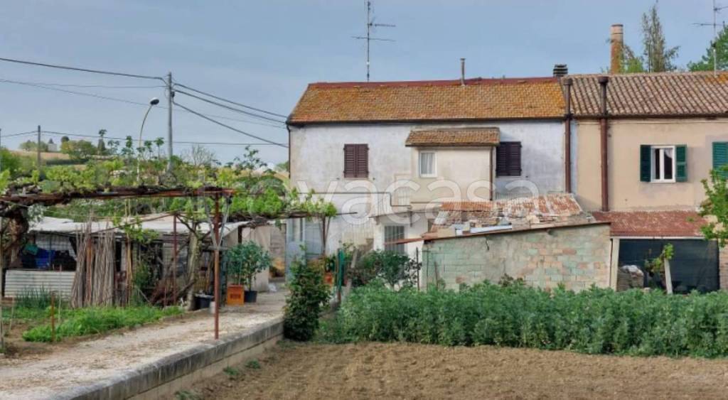 immagine annuncio 6 di 11