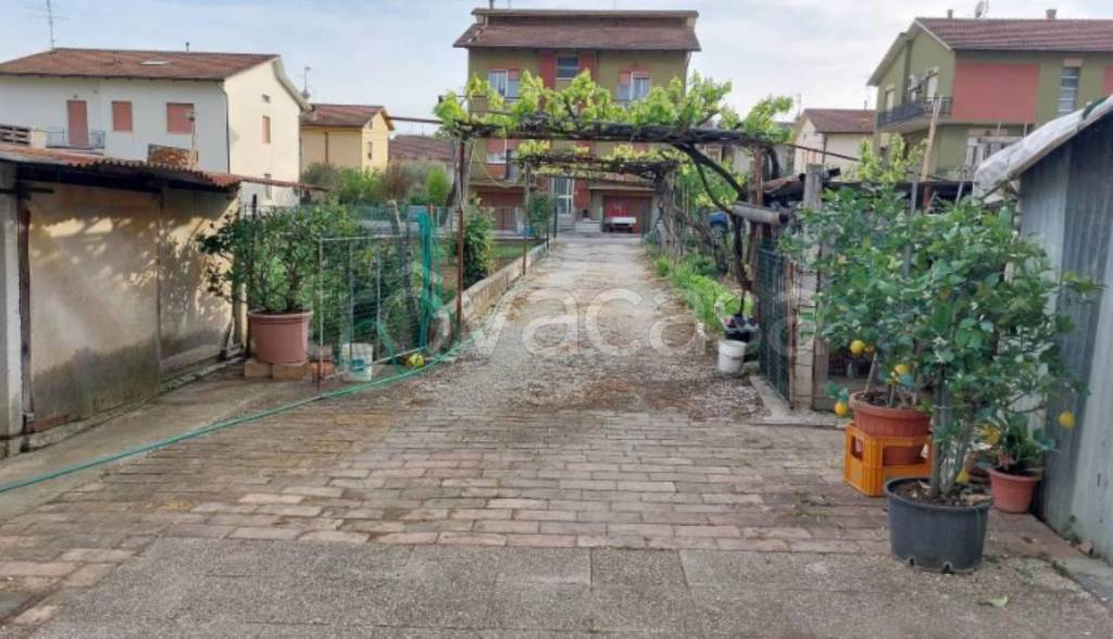 immagine annuncio 7 di 11