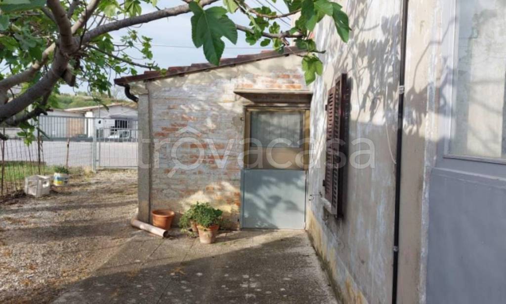 immagine annuncio 8 di 11