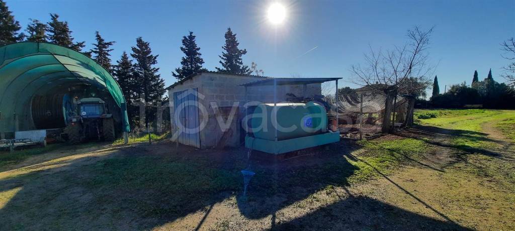 immagine annuncio 3 di 8