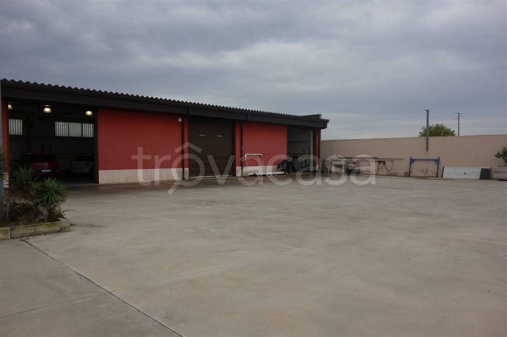 immagine annuncio 2 di 12