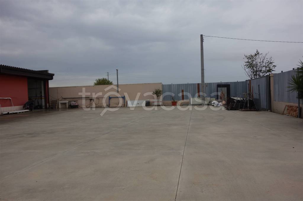 immagine annuncio 3 di 12