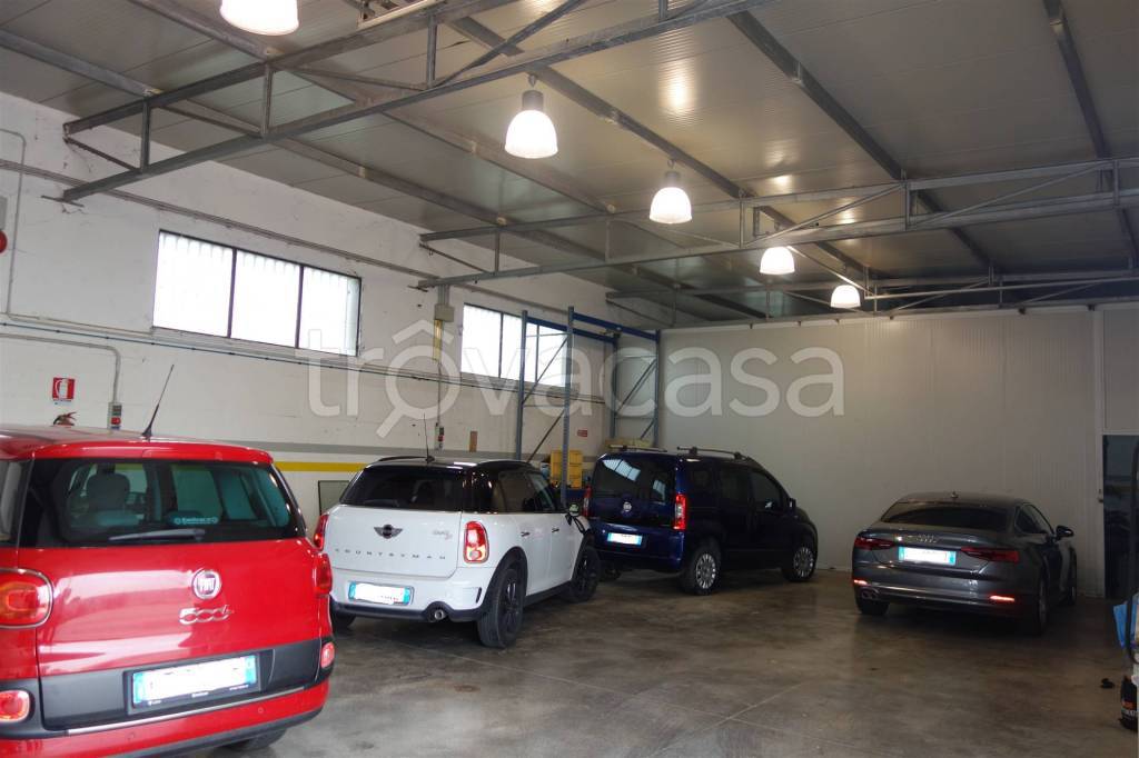 immagine annuncio 4 di 12