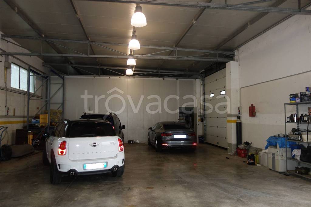 immagine annuncio 5 di 12