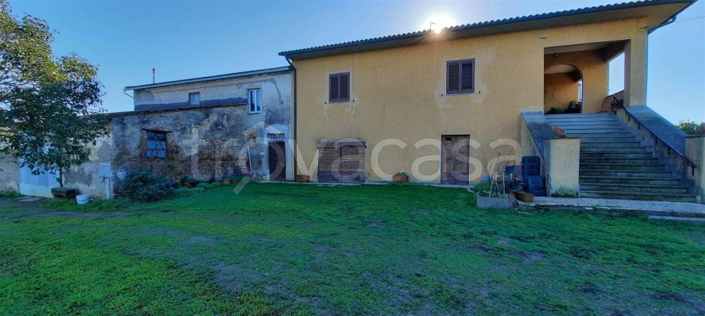 immagine annuncio 7 di 8