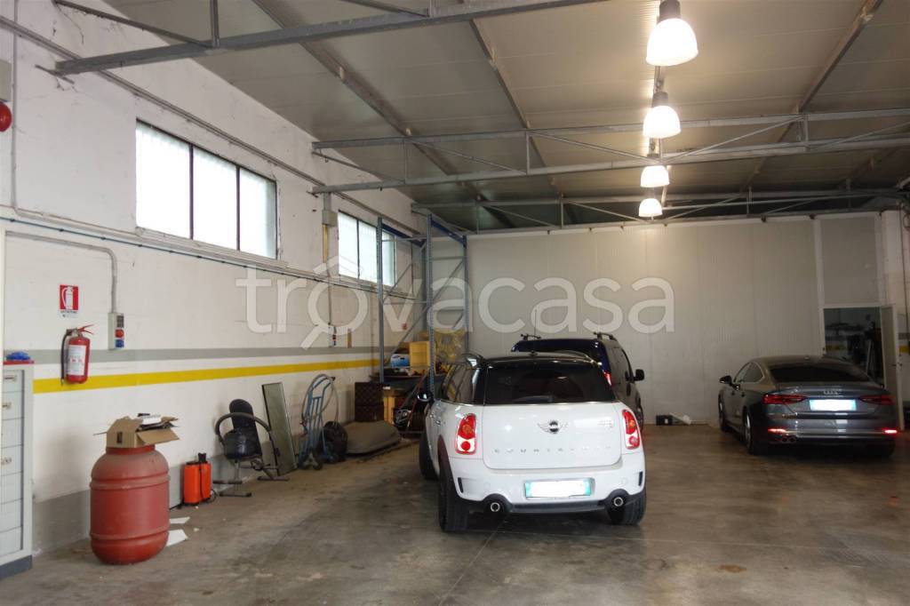 immagine annuncio 6 di 12