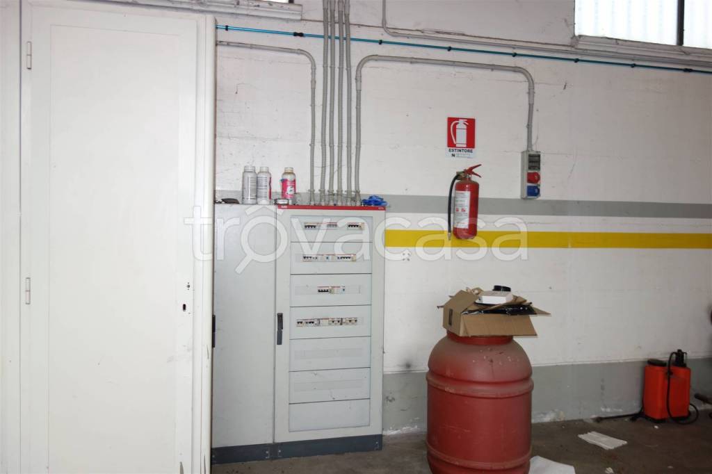 immagine annuncio 7 di 12