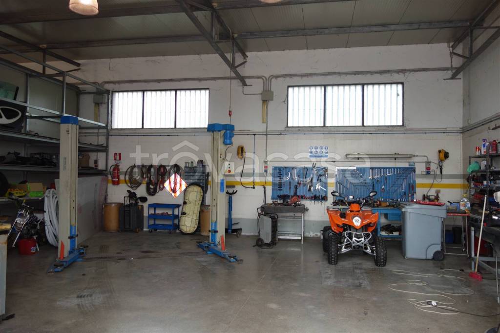 immagine annuncio 10 di 12