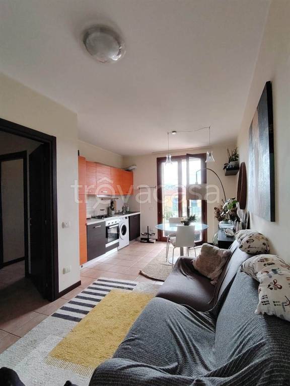 immagine annuncio 3 di 9