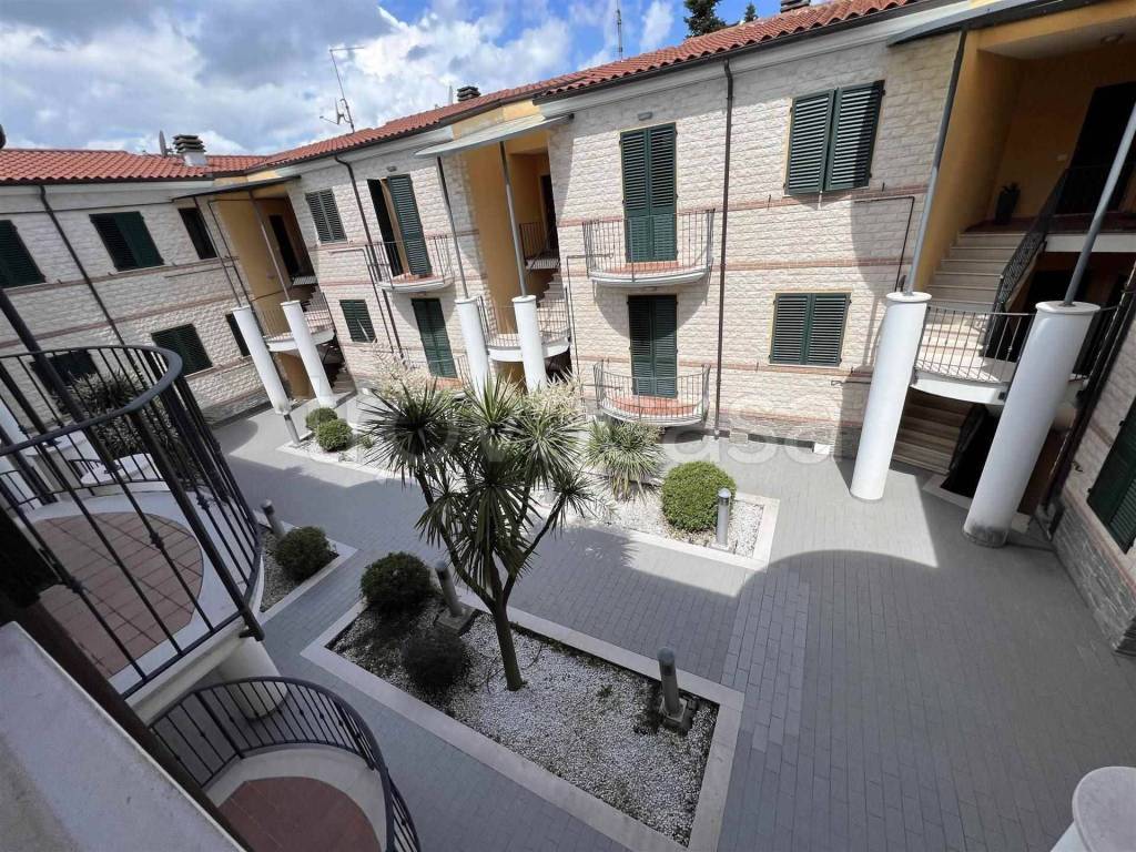 immagine annuncio 1 di 14