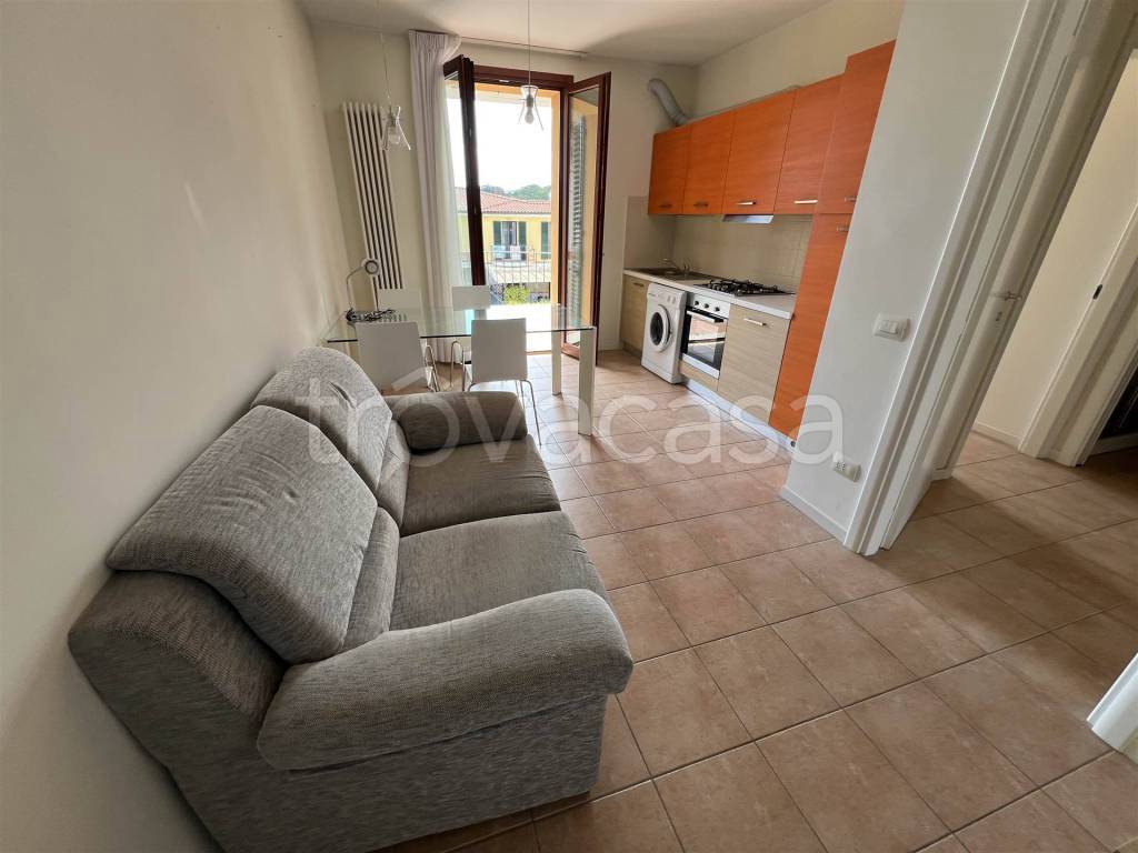 immagine annuncio 5 di 14