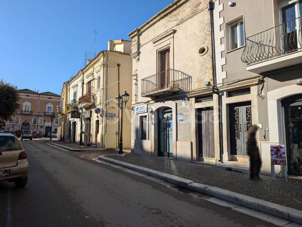 immagine annuncio 1 di 8