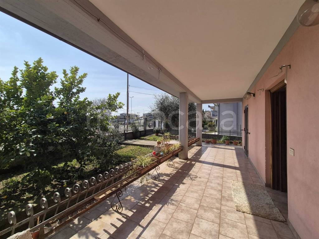 immagine annuncio 10 di 15