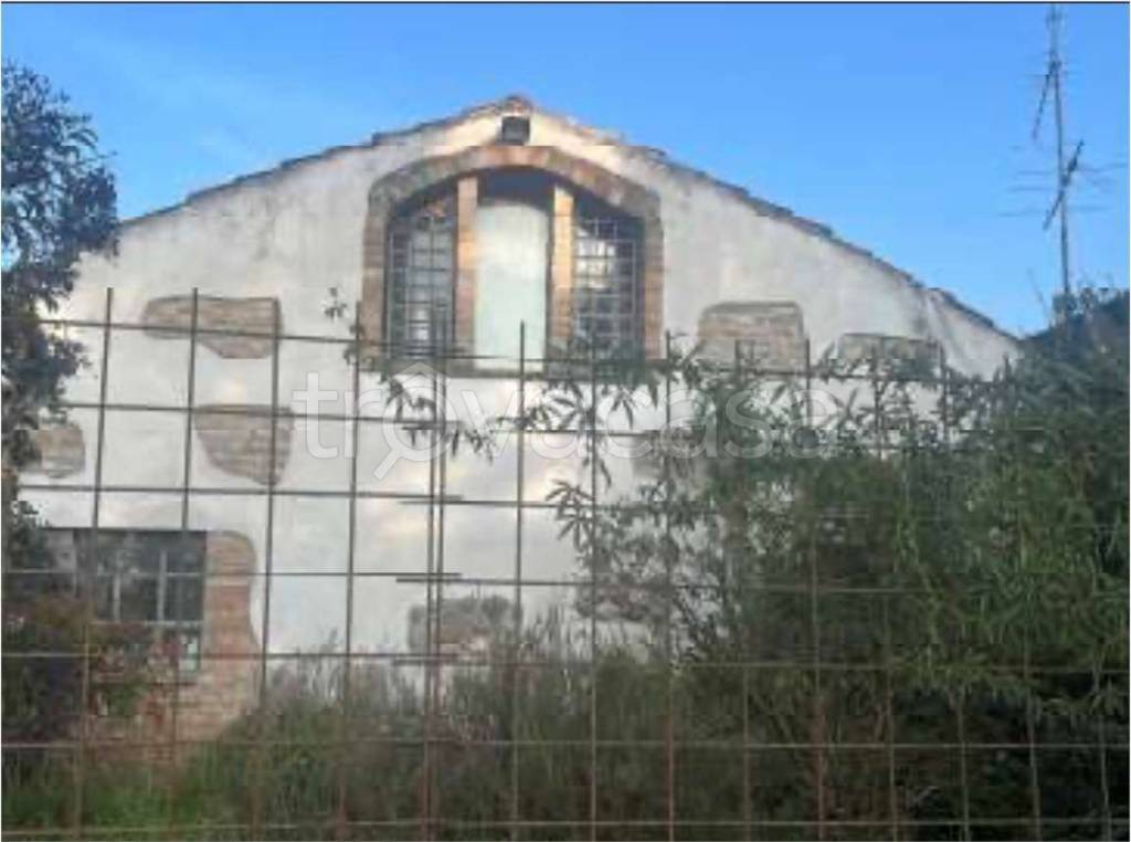 immagine annuncio 1 di 14