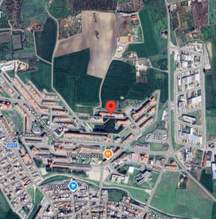 immagine annuncio 7 di 10