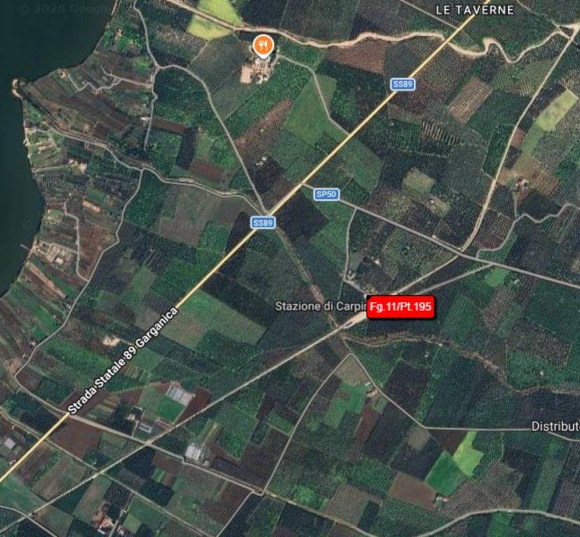 immagine annuncio 2 di 10