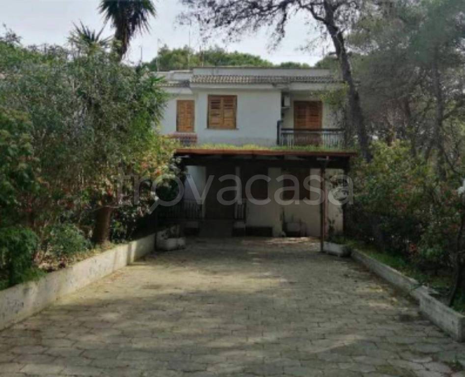 immagine annuncio 3 di 12