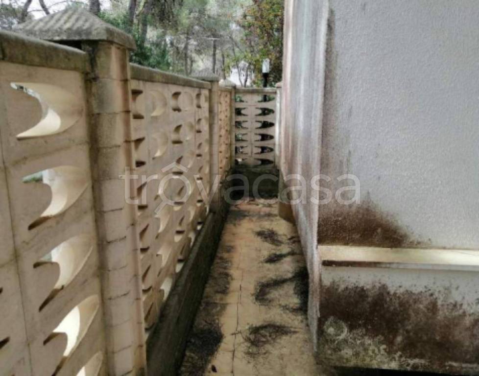 immagine annuncio 4 di 12