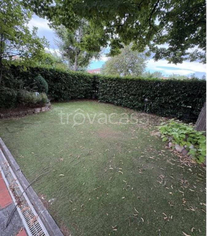 immagine annuncio 4 di 12