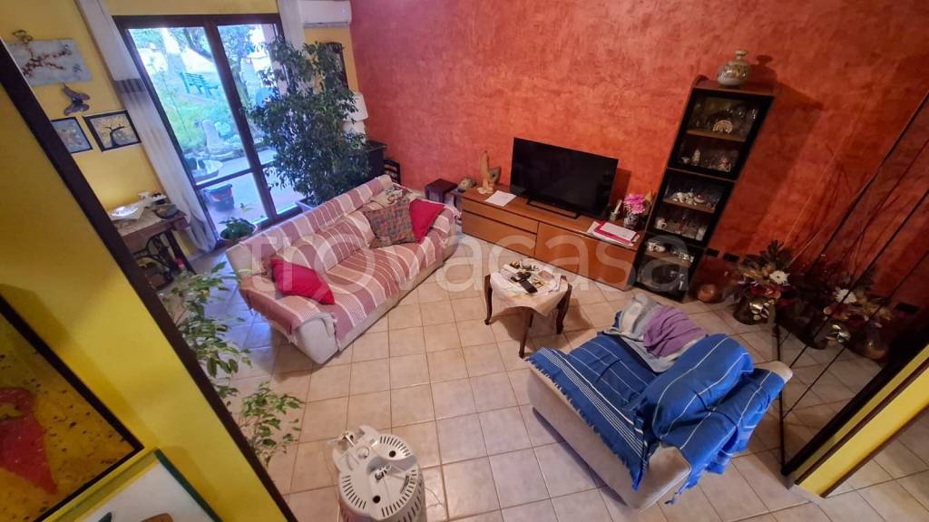 immagine annuncio 5 di 15