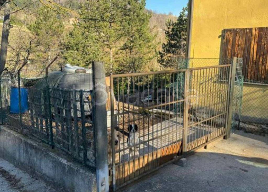 immagine annuncio 6 di 11