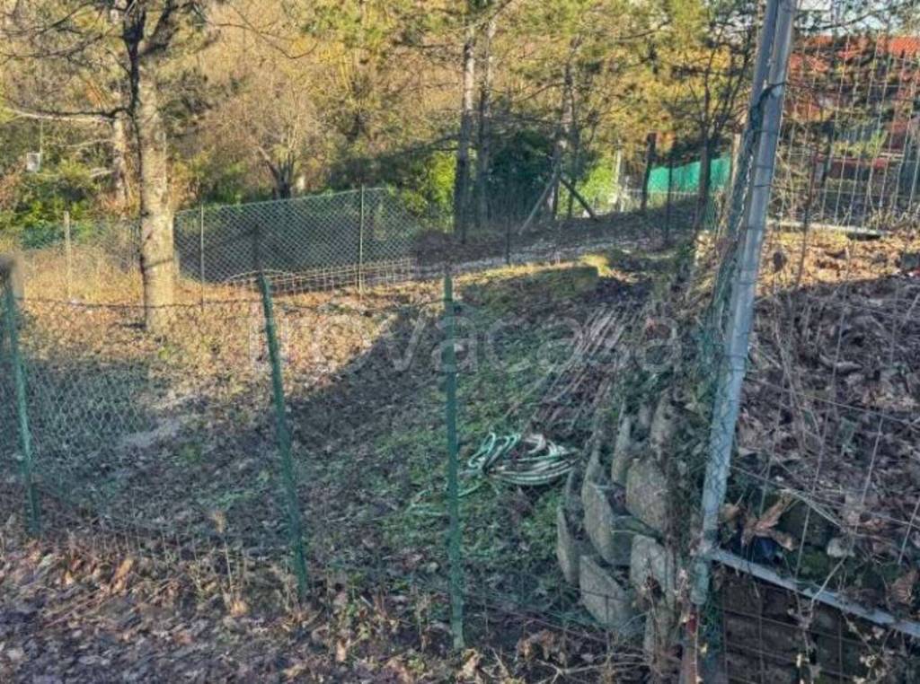 immagine annuncio 7 di 11