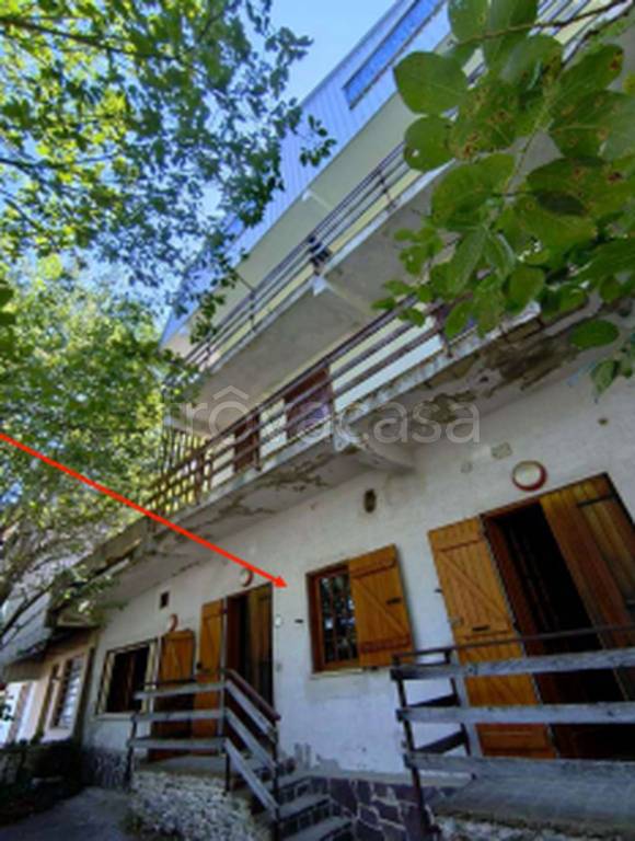 immagine annuncio 5 di 11