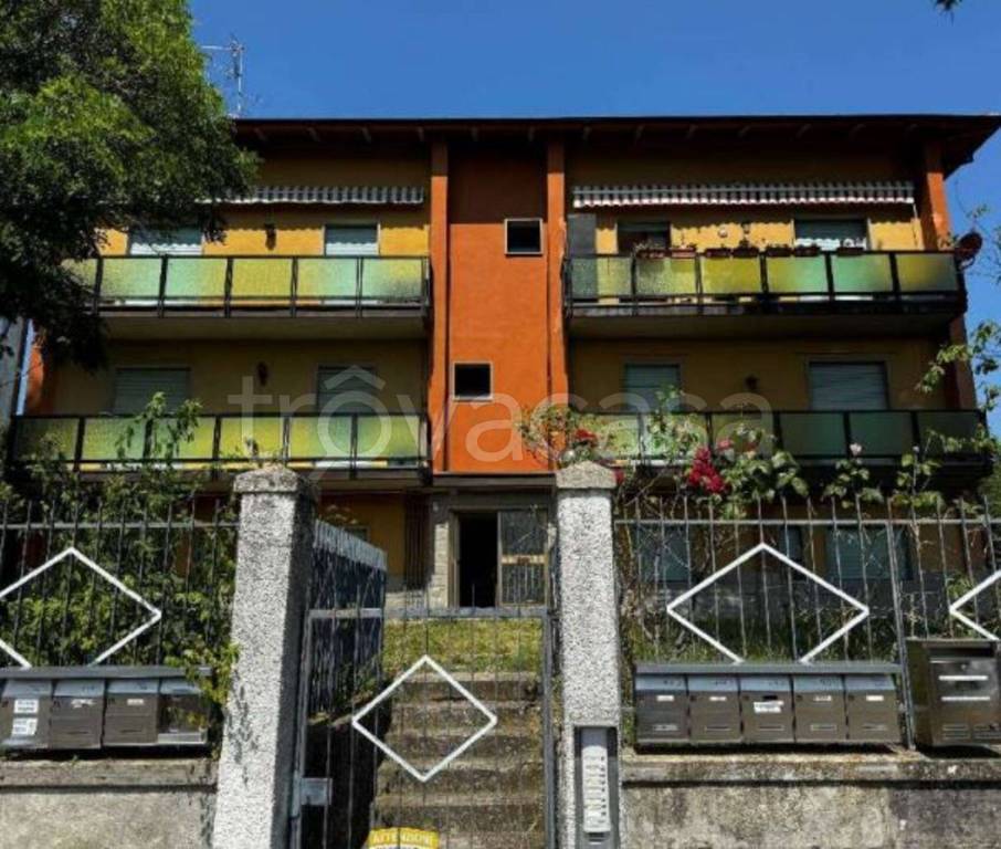 immagine annuncio 2 di 11