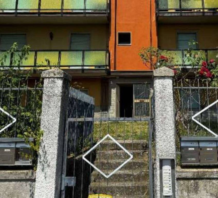 immagine annuncio 3 di 11