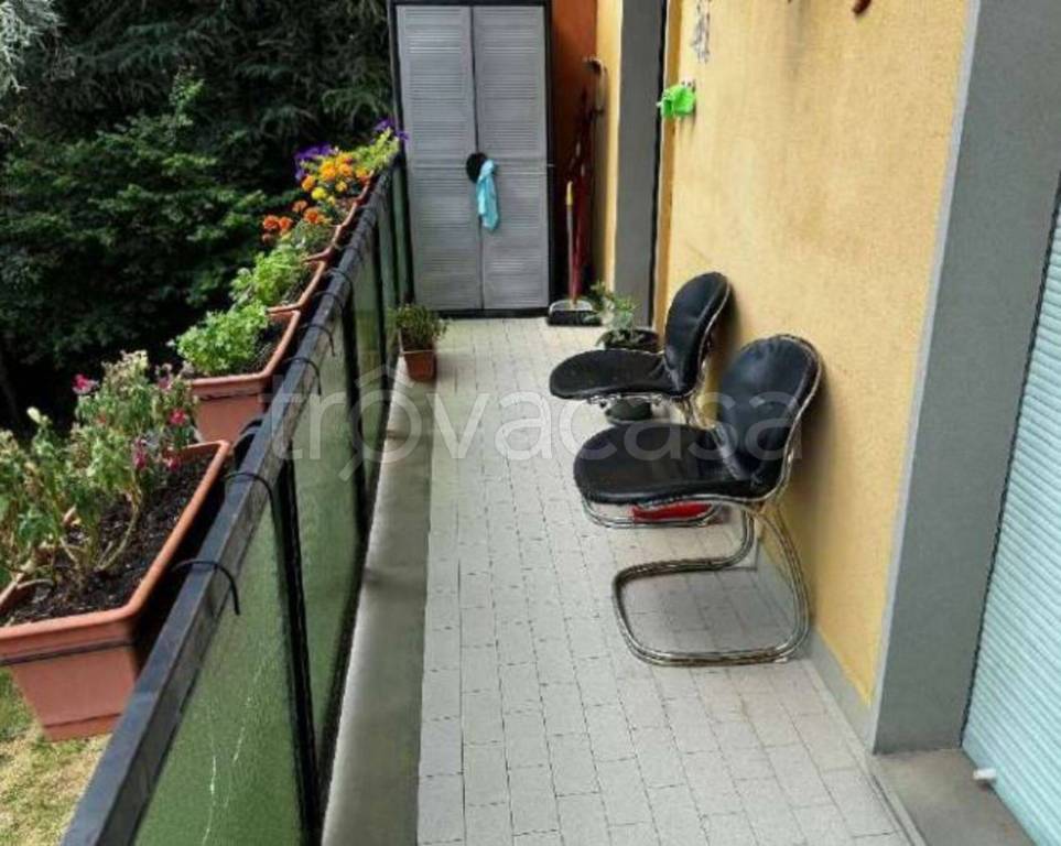 immagine annuncio 8 di 11