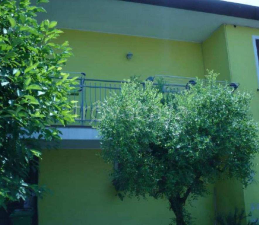 immagine annuncio 3 di 11