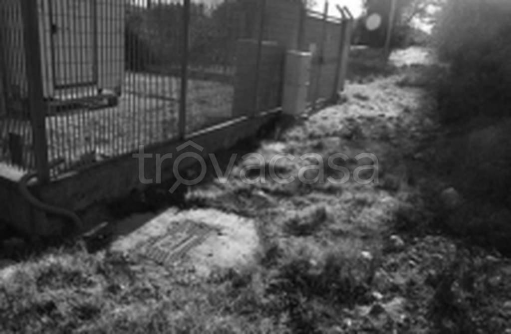 immagine annuncio 8 di 11