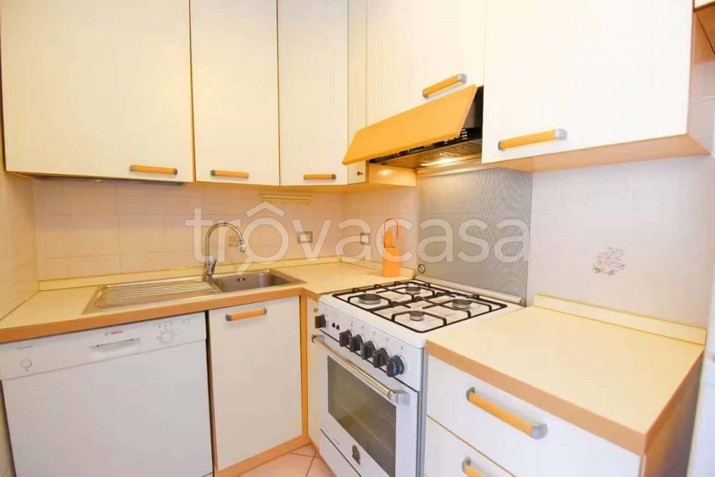 immagine annuncio 5 di 11