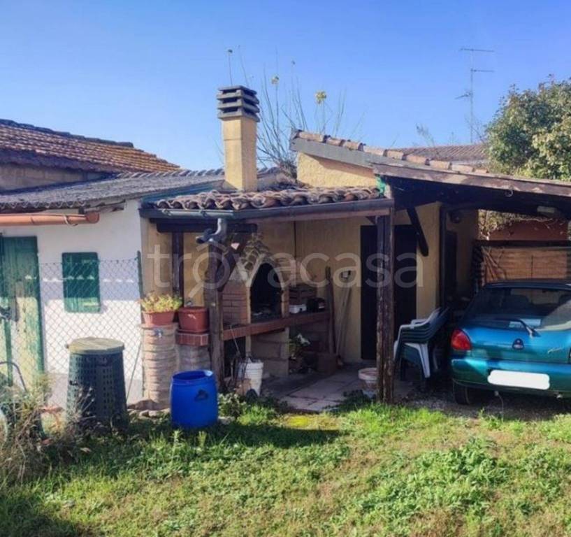 immagine annuncio 3 di 11