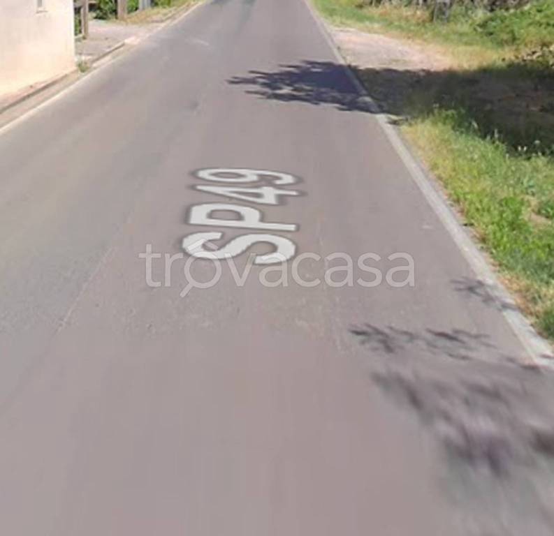 immagine annuncio 2 di 11