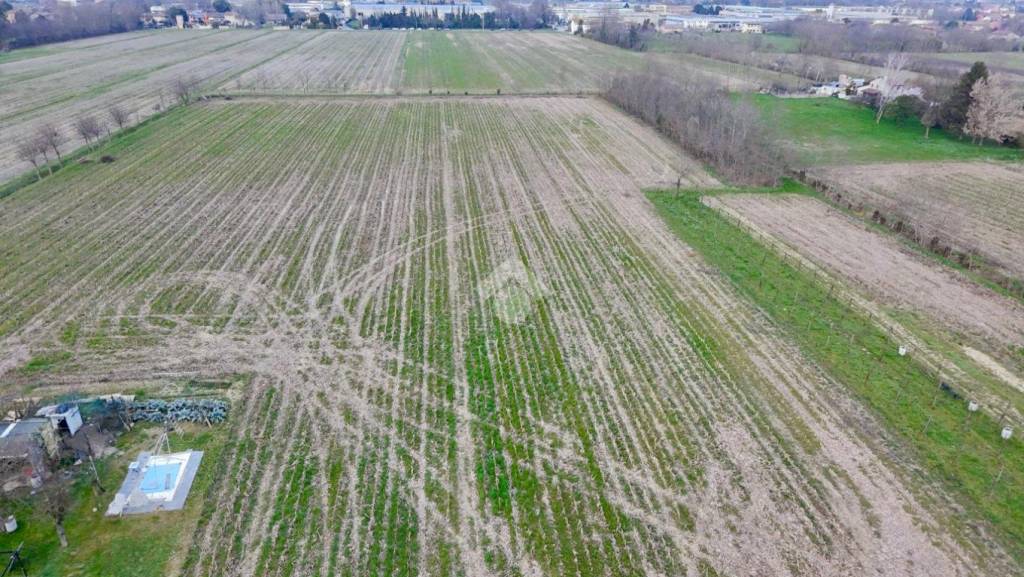 immagine annuncio 4 di 6