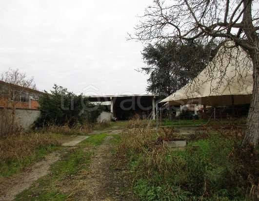 immagine annuncio 3 di 14