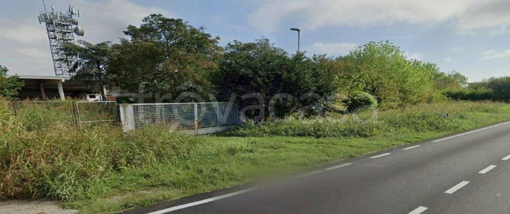 immagine annuncio 4 di 14