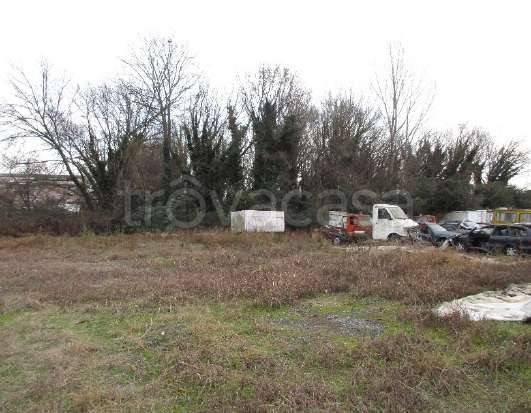 immagine annuncio 5 di 14