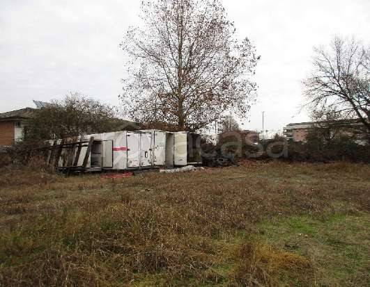 immagine annuncio 6 di 14