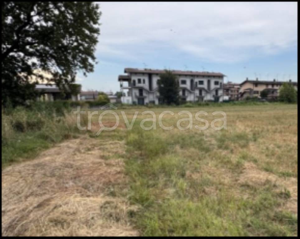 immagine annuncio 3 di 12