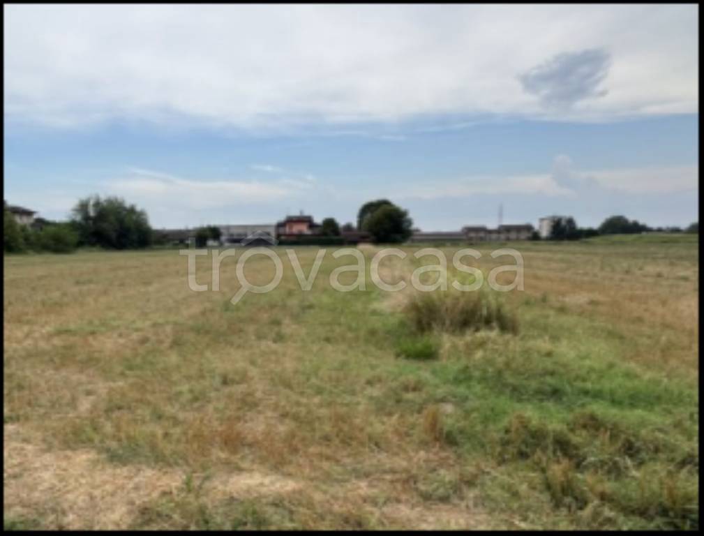 immagine annuncio 4 di 12