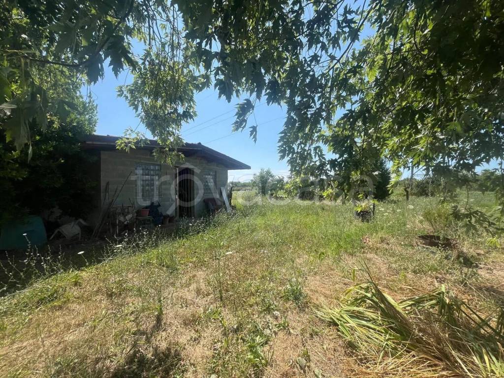 immagine annuncio 1 di 8