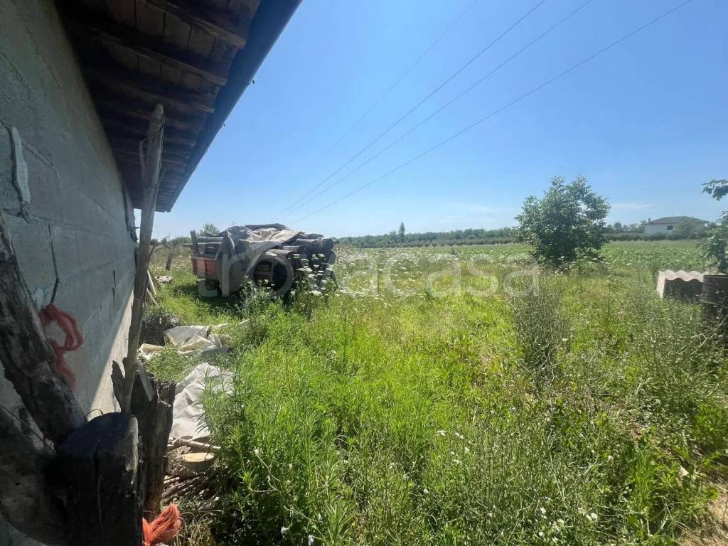 immagine annuncio 2 di 8