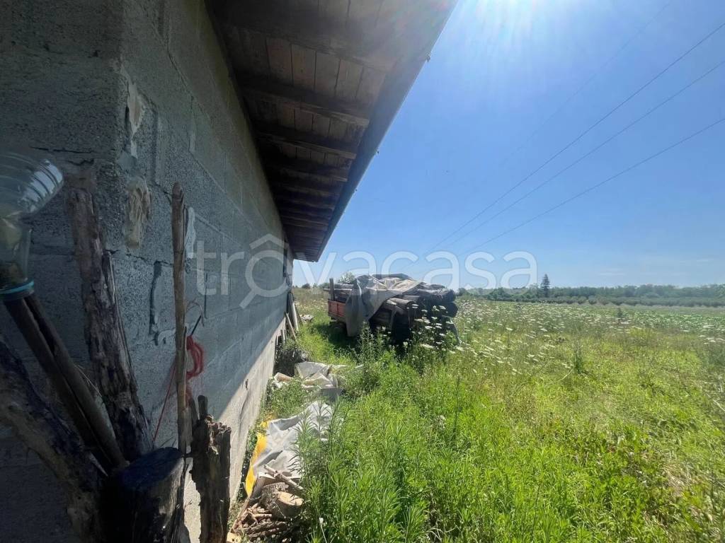 immagine annuncio 3 di 8